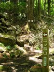 Img_7673shime.jpg
