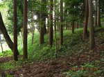 Img_7679zenpou.jpg