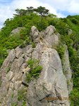 Img_7706nyotai.jpg