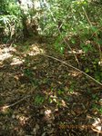 Img_7779sankaku.jpg