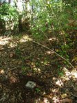 Img_7780sankaku.jpg