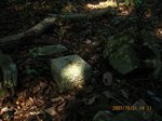 Img_7800sankaku.jpg