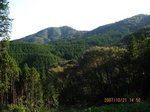 Img_7811tenbou.jpg