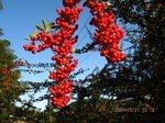 Img_7834aka.jpg