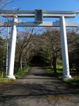 Img_7887torii.jpg