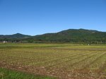 Img_7934kagata.jpg