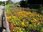Img_7985sankaku.jpg