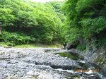 Img_8026karyu.jpg