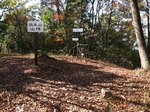 Img_8206sankaku.jpg