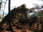 Img_8238niwatoriishi.jpg