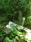 Img_8256sankaku.jpg