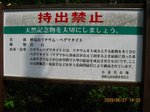 Img_8334kinshi.jpg
