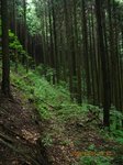 Img_8396rindo.jpg