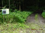 Img_8419rindo.jpg