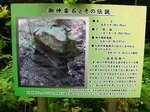 Img_8420okagura.jpg