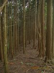 Img_8428one.jpg