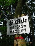 Img_8431sanmei.jpg
