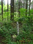 Img_8433sankaku.jpg