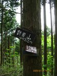 Img_8435sanmei.jpg