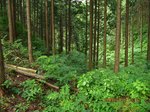 Img_8459anbu.jpg
