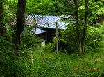 Img_8471haioku.jpg