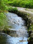 Img_8500keiryu.jpg