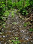 Img_8502rindo.jpg