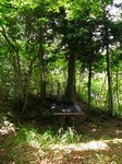 Img_8508hokora.jpg