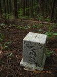 Img_8549sankaku.jpg