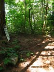 Img_8597sankaku.jpg