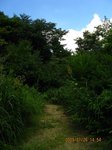 Img_8602rindo.jpg