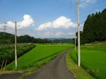 Img_8610tanbo.jpg