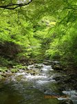 Img_8697midori.jpg