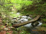 Img_8701hashi.jpg