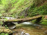 Img_8705kusarebashi.jpg