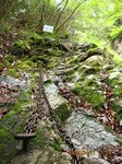 Img_8716magari.jpg