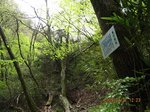 Img_8739ryuunonedoko.jpg