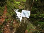 Img_8752mikaeri.jpg