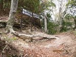 Img_8768bunki.jpg