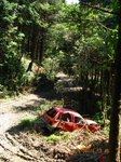 Img_8914kuruma.jpg