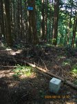 Img_8922sankaku.jpg