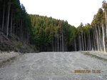 Img_8938shuutan.jpg