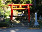 Img_8953torii.jpg