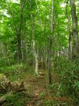 Img_8962山道.jpg