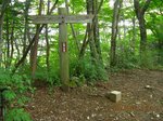 Img_8970水沼山.jpg