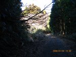 Img_8979rindou.jpg