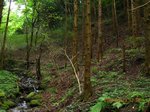 Img_8984沢.jpg