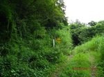 Img_8993林道出口.jpg