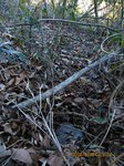 Img_9015sankaku.jpg