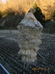 Img_9025inamura.jpg